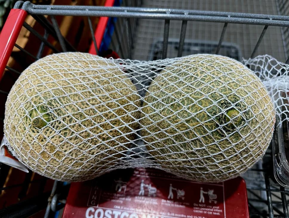 “Costco's fishnet melons.”